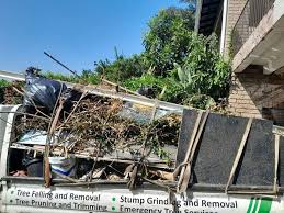 Best Moving and Downsizing Cleanouts  in Palm Beach, FL
